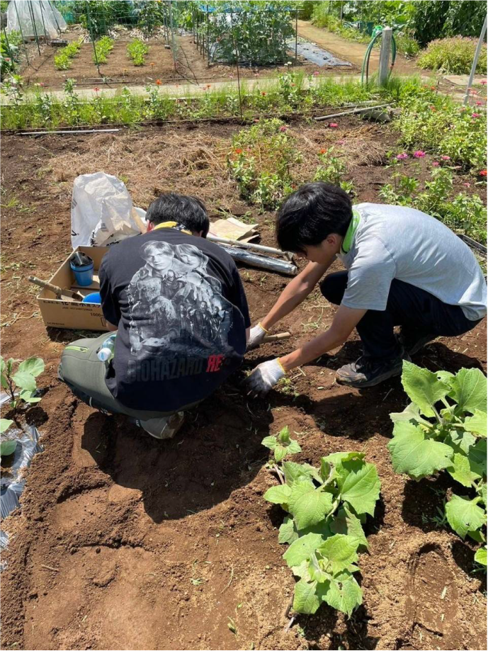 お芋掘りサークルの活動の様子