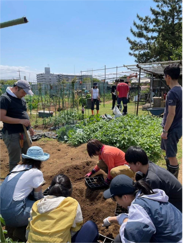 お芋掘りサークルの活動の様子